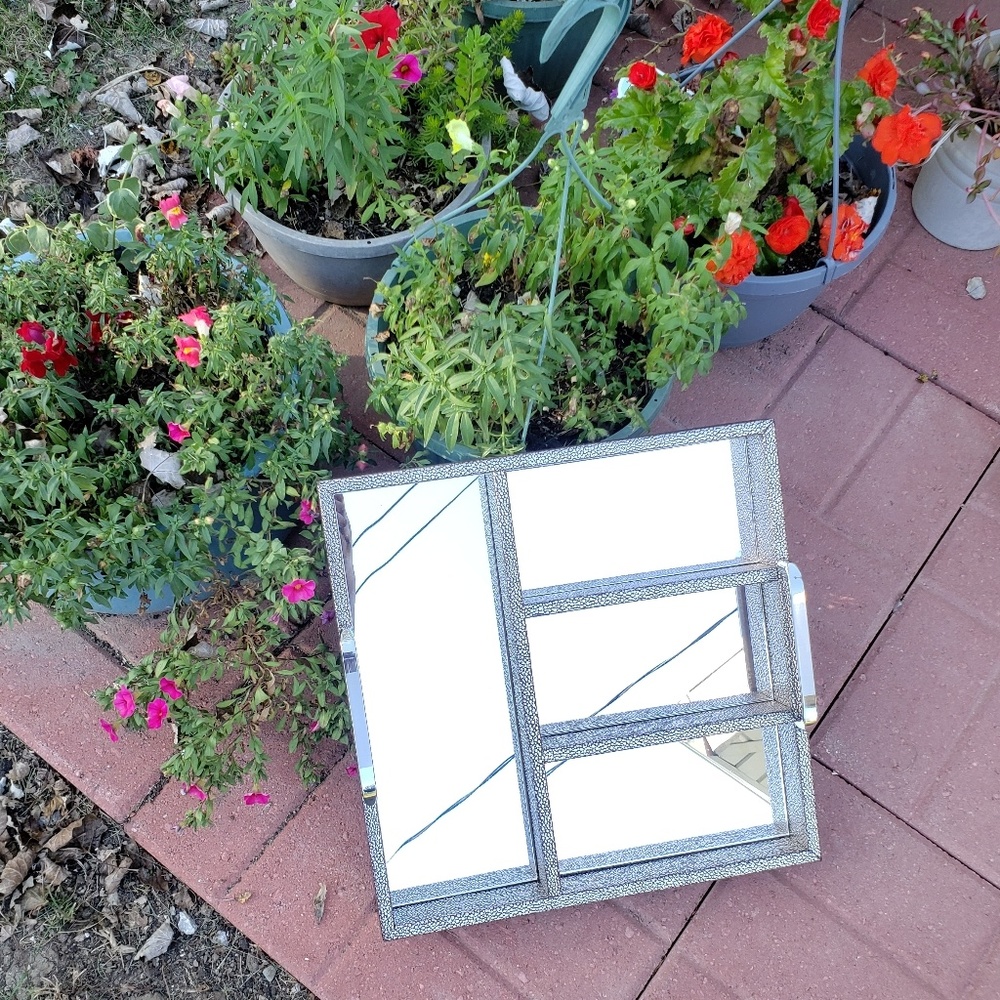 SOLD: Decor Items + Mirrored Tray - Picture 7 of 8